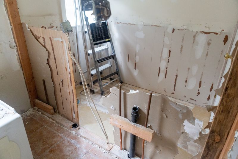 bathroom demolished for renovation