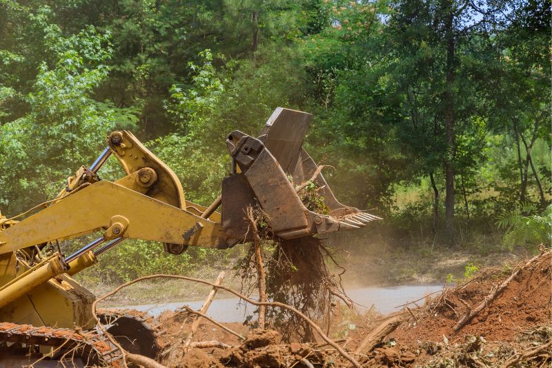 excavator removing tree trunks and roots